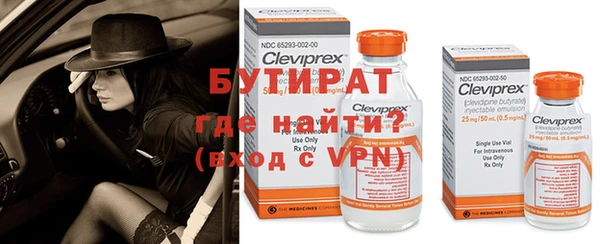 apvp Горняк