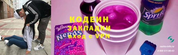 индика Горнозаводск