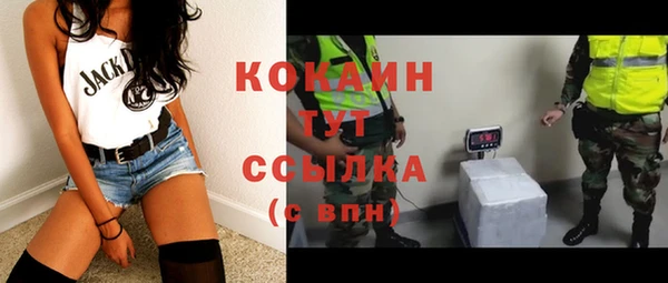 apvp Горняк