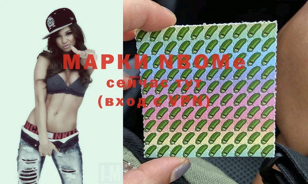 индика Горнозаводск