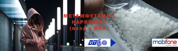 индика Горнозаводск