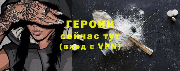 индика Горнозаводск