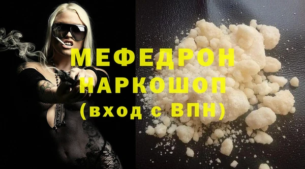 индика Горнозаводск