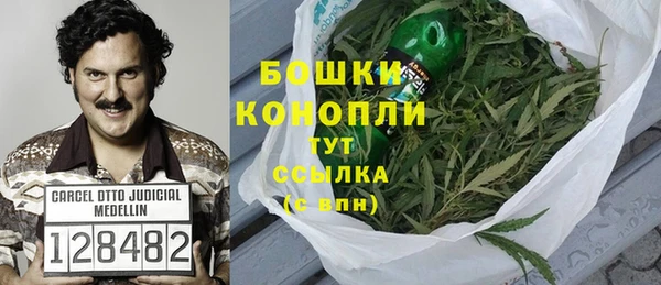apvp Горняк