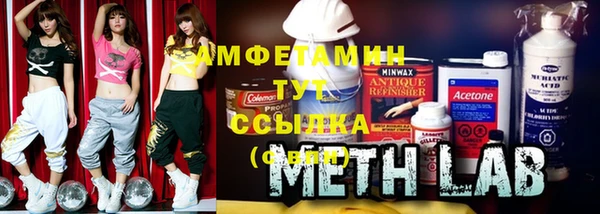 индика Горнозаводск