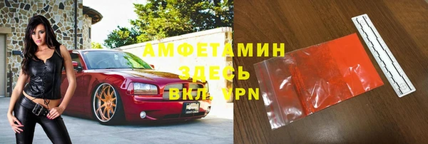 индика Горнозаводск
