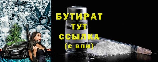 индика Горнозаводск