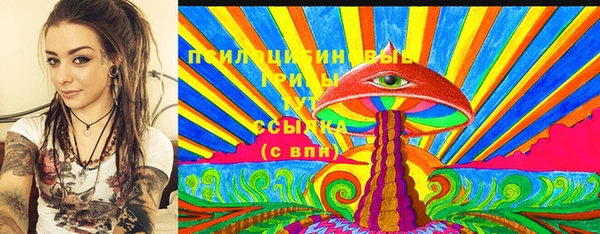 индика Горнозаводск