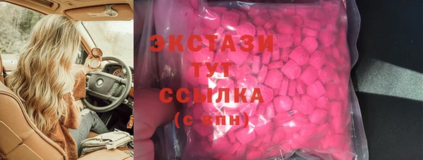 индика Горнозаводск