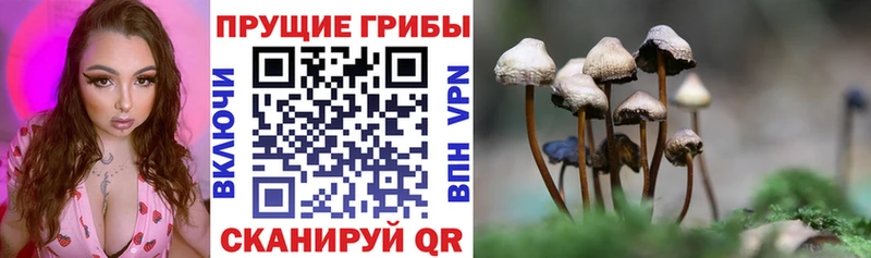 Галлюциногенные грибы мухоморы  кракен   Обоянь 
